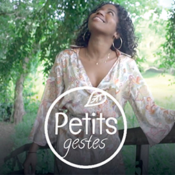 video petits gestes